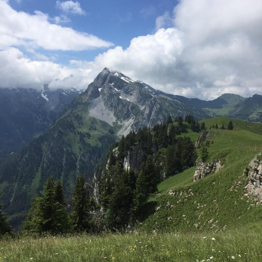 Gasthof Hirschen Oey Buitenkant foto
